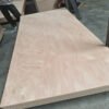 OKOUME PLYWOOD (265) Commercial Plywood
