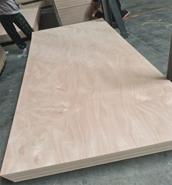 OKOUME PLYWOOD (265) Commercial Plywood