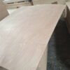 OKOUME PLYWOOD (270) Commercial Plywood