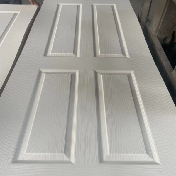 Door Skin