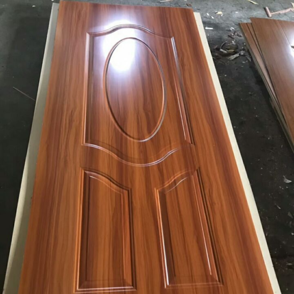 Door Skin